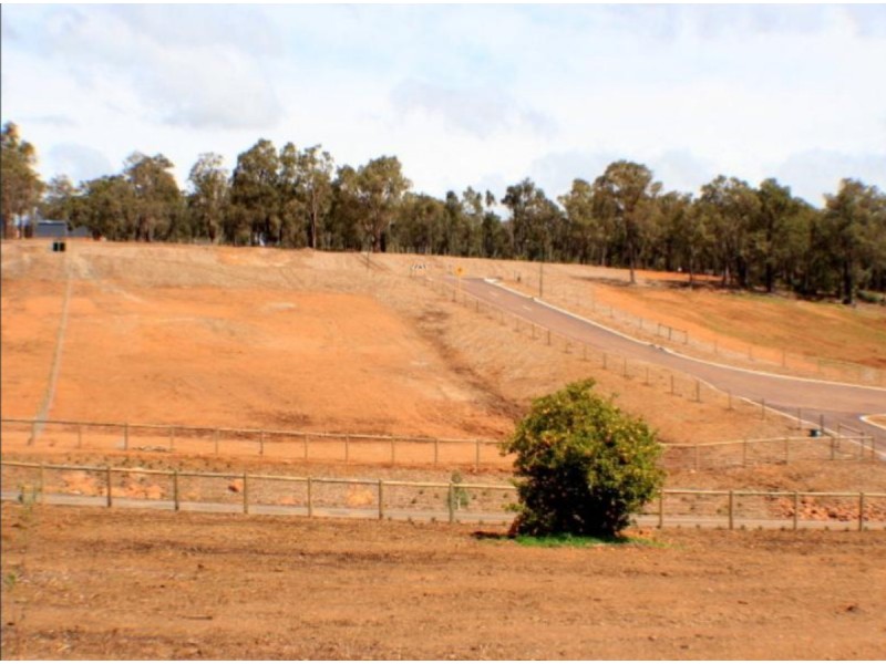 21 Grieve Way, Bedfordale WA 6112