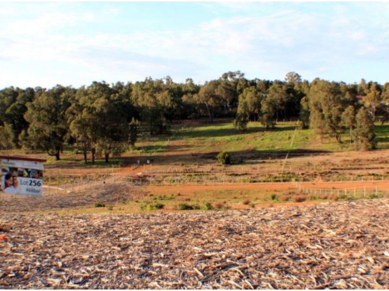 21 Grieve Way, Bedfordale WA 6112