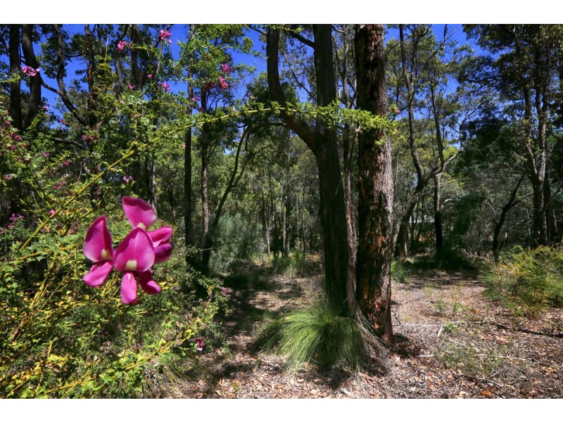 66 Narbethong Road, Bedfordale WA 6112