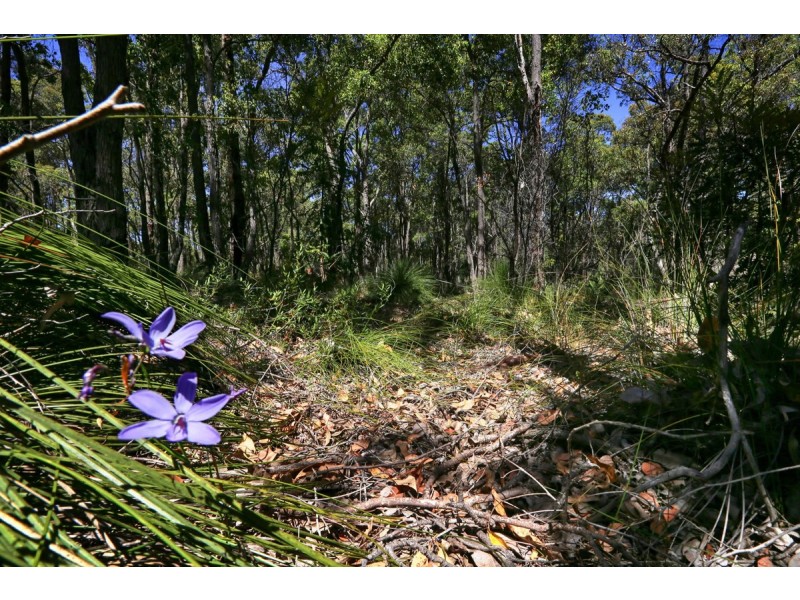 66 Narbethong Road, Bedfordale WA 6112