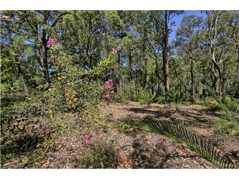 66 Narbethong Road, Bedfordale WA 6112