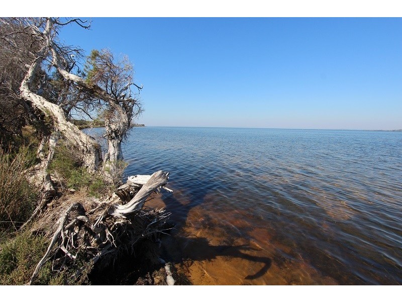 59 Regent Drive, Wannanup WA 6210