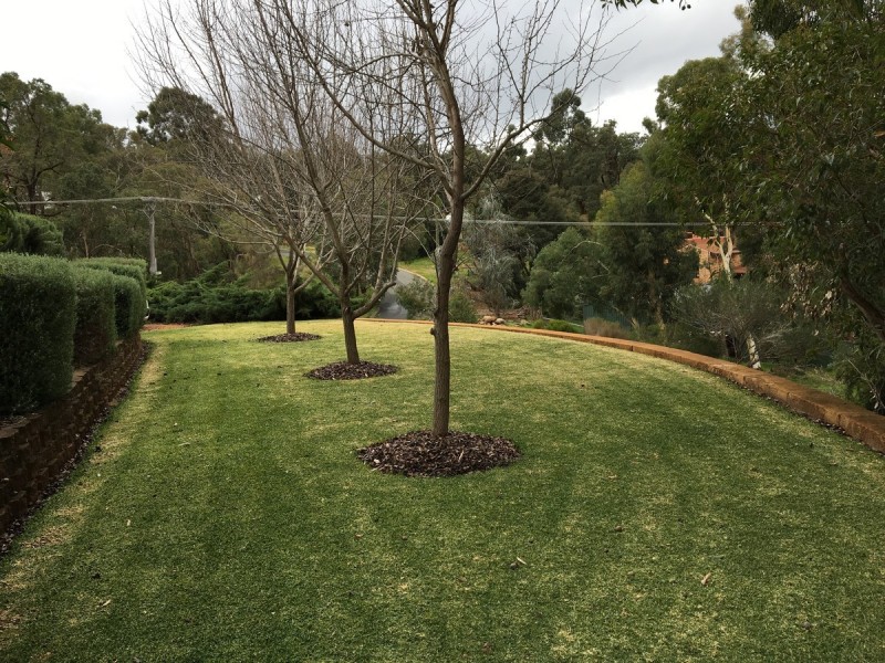 21 Saw Drive, Darlington WA 6070