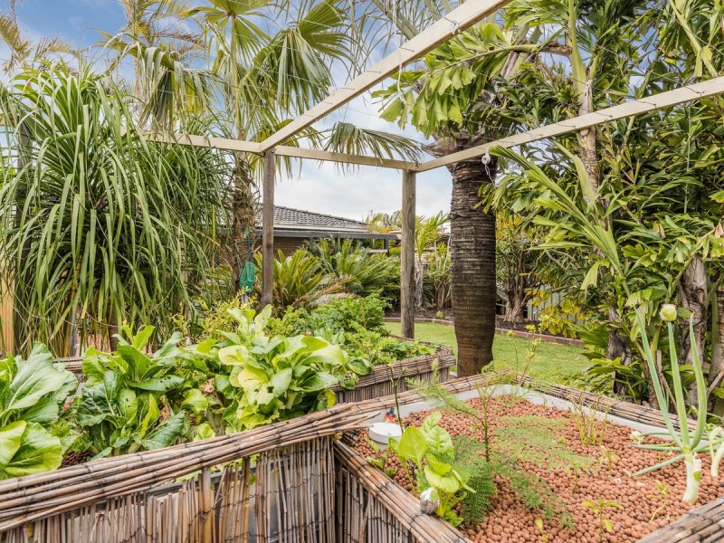 36 Pembury Street, Thornlie WA 6108