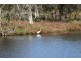 26 Balwina Road, Greenfields WA 6210