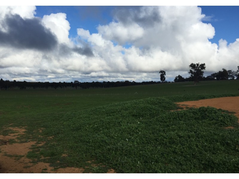 14 Boodja Road, Wundowie WA 6560