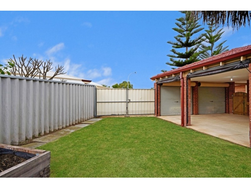 19 Latania Grove, Warnbro WA 6169