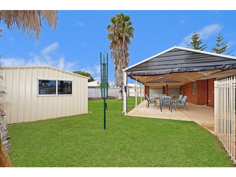 19 Latania Grove, Warnbro WA 6169