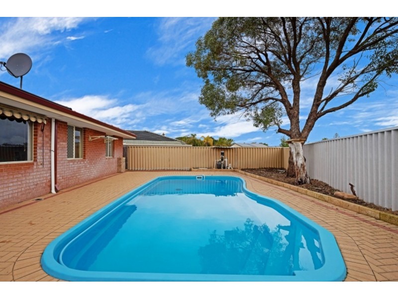 19 Latania Grove, Warnbro WA 6169