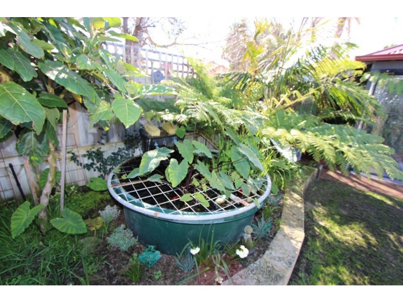 3 Castaway Cove, Halls Head WA 6210