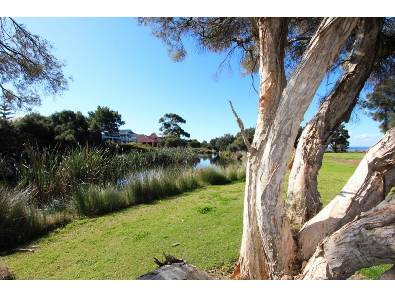 6 Governor Drive, Falcon WA 6210