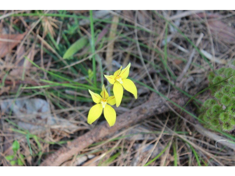 60 Watson Drive, Barragup WA 6209