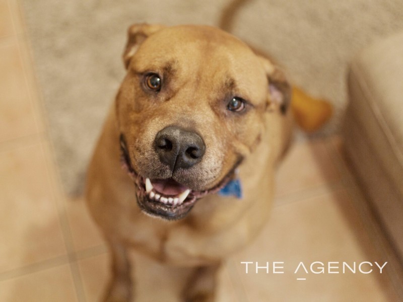 6/264 McDonald Street, Yokine WA 6060