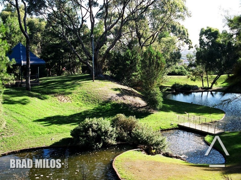 20 Chesterton Street, Spearwood WA 6163