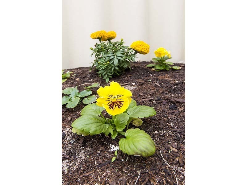 4/33 Chesterton Road, Bassendean WA 6054