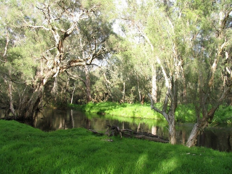 14 Champagne Terrace, The Vines WA 6069