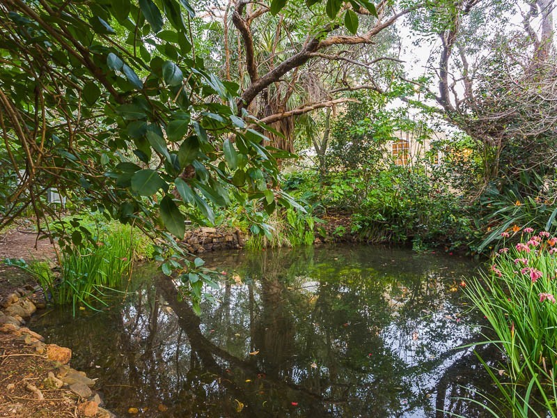 8 Taylor Road, Kalamunda WA 6076