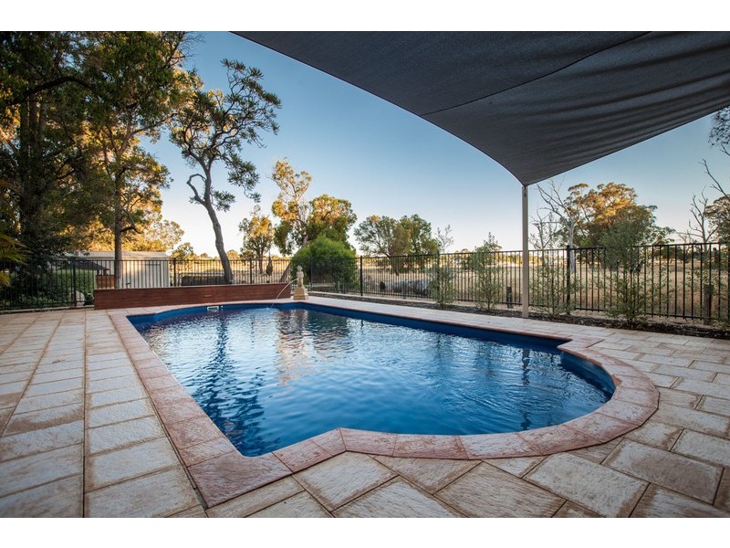 16 Tincombe Grove, Baldivis WA 6171