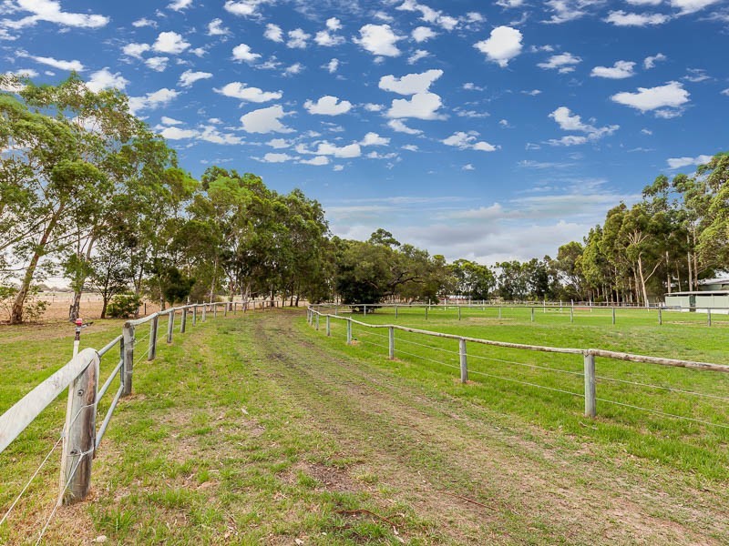 78 Victoria Road, Wattle Grove WA 6107