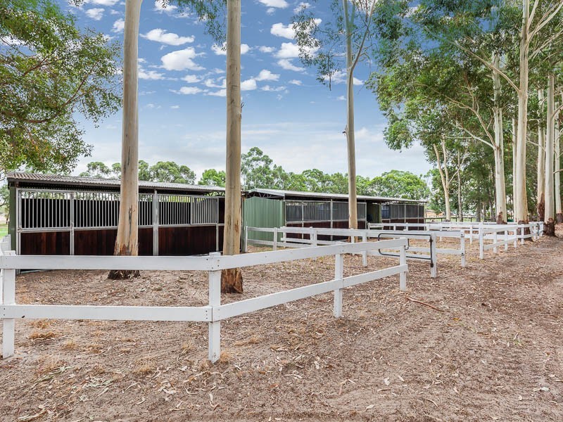 78 Victoria Road, Wattle Grove WA 6107