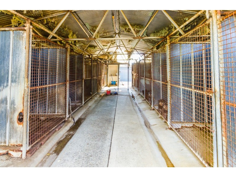 41 Battersea Road, Canning Vale WA 6155