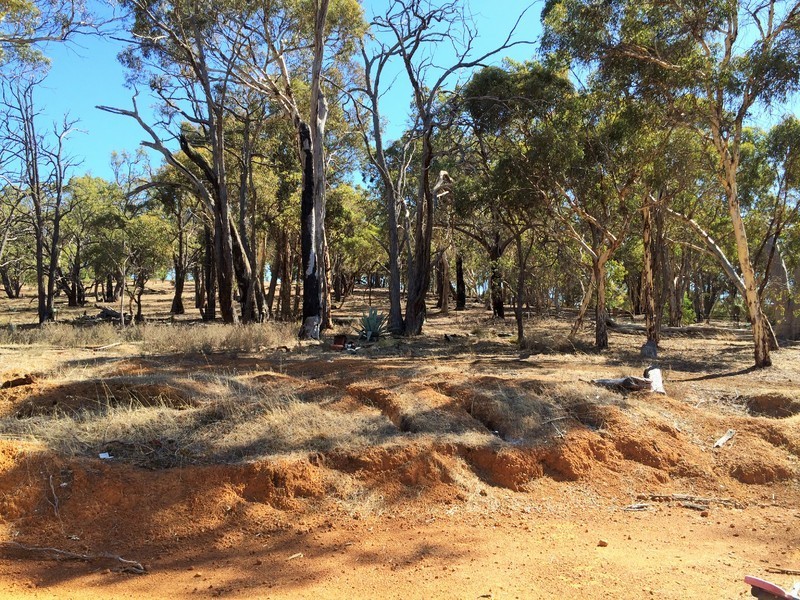 49 Blackboy Gully Road, Wandering WA 6308