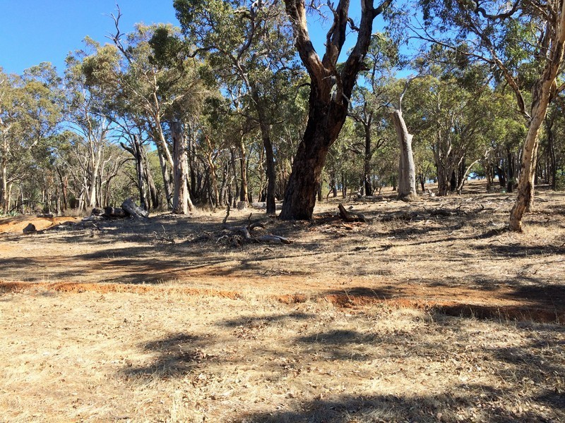 49 Blackboy Gully Road, Wandering WA 6308