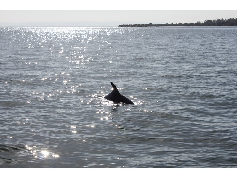 15 Avocet Island Quays, Wannanup WA 6210