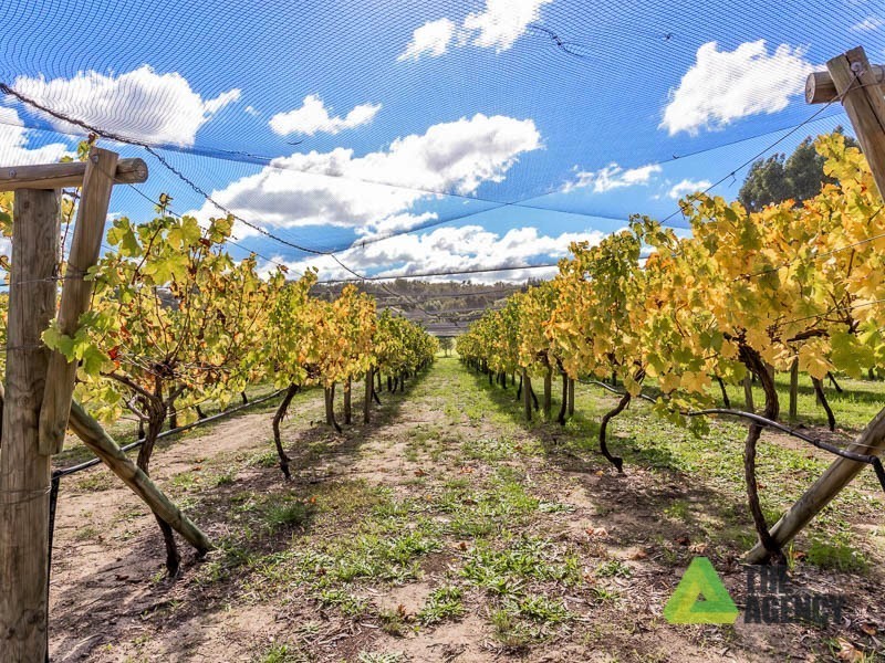 16 Patens Drive, Lower Chittering WA 6084