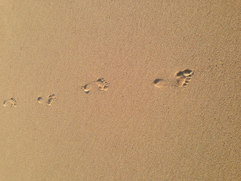 6 Highview Rise, Halls Head WA 6210