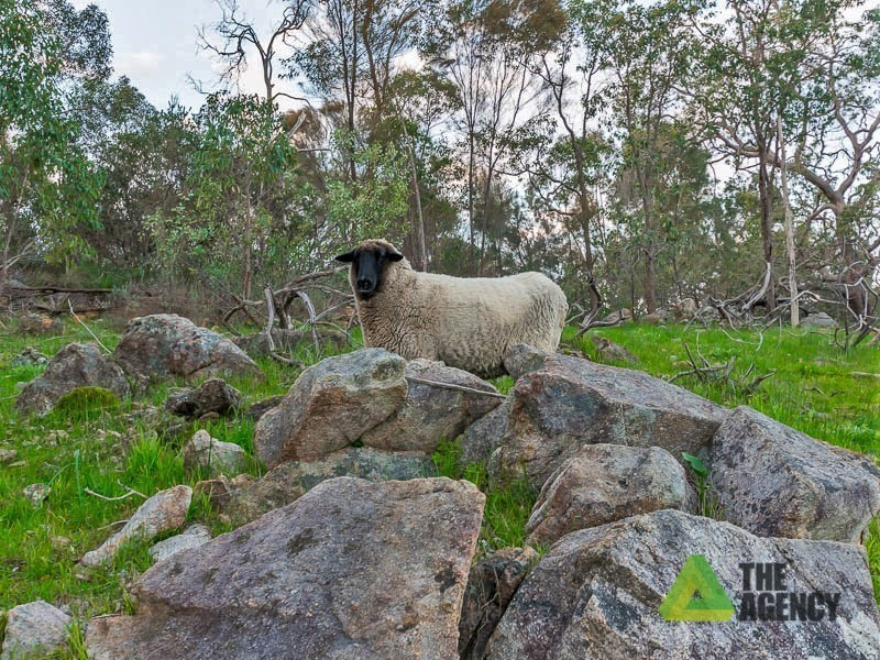 100 Victor Road, Darlington WA 6070