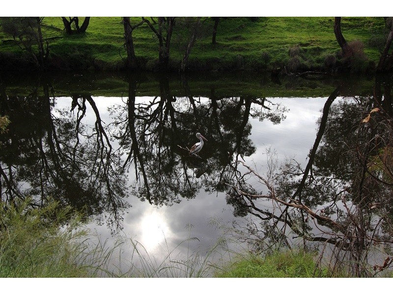 49 James Street, Pinjarra WA 6208