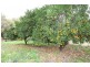 17 Pleasant Grove Circle, Falcon WA 6210