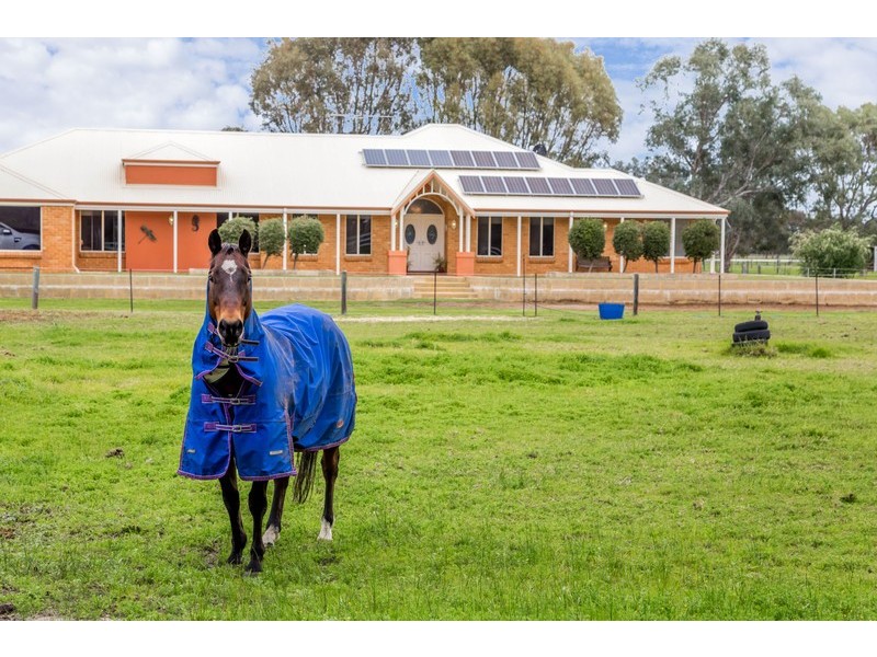 106 William Street, Herne Hill WA 6056