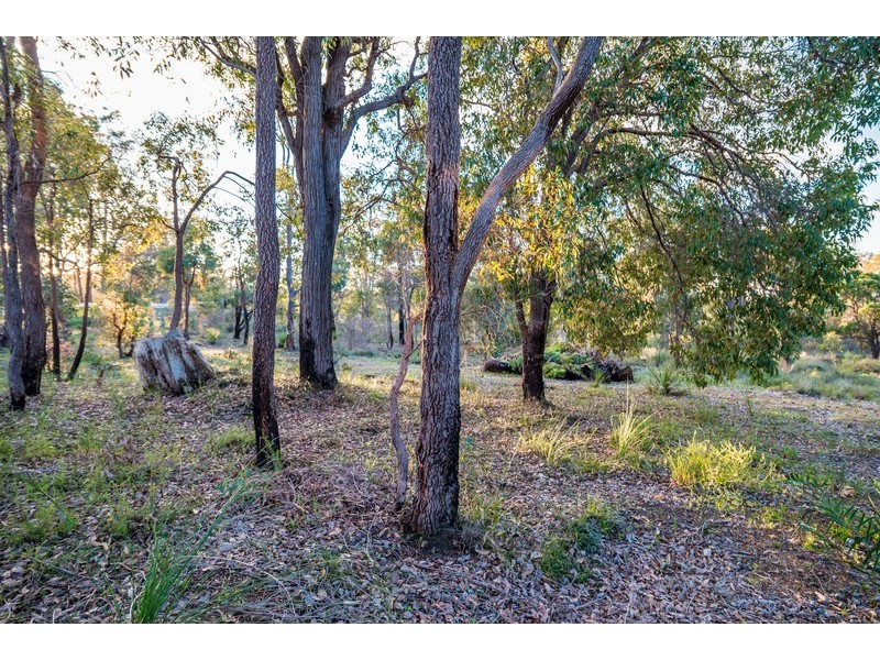 247 Ballymore Place, Gidgegannup WA 6083