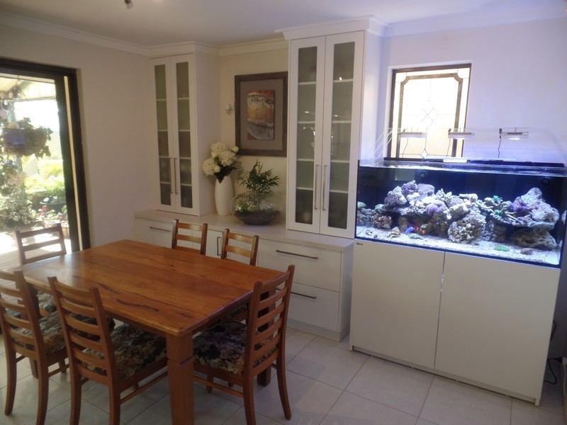 17 Celosia Way, Riverton WA 6148