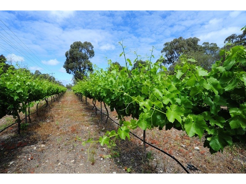 246 Newnham Road, Lake Clifton WA 6215