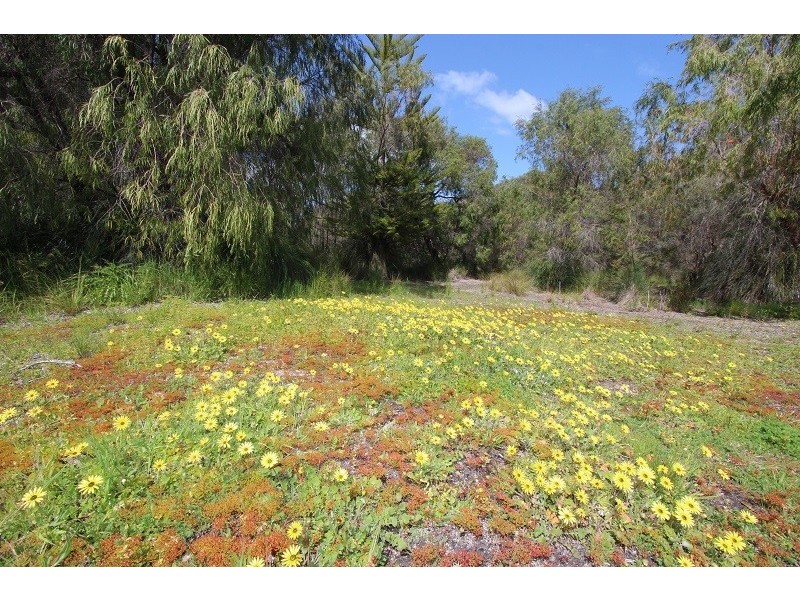 246 Newnham Road, Lake Clifton WA 6215