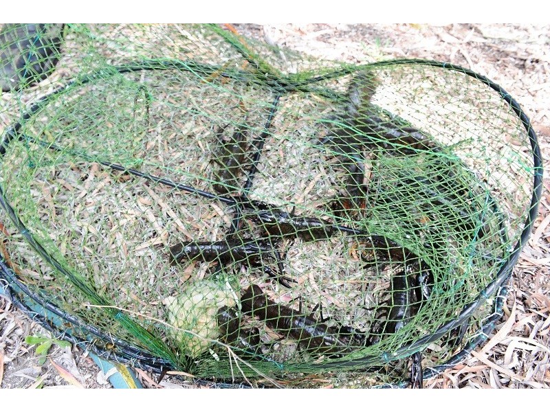 246 Newnham Road, Lake Clifton WA 6215