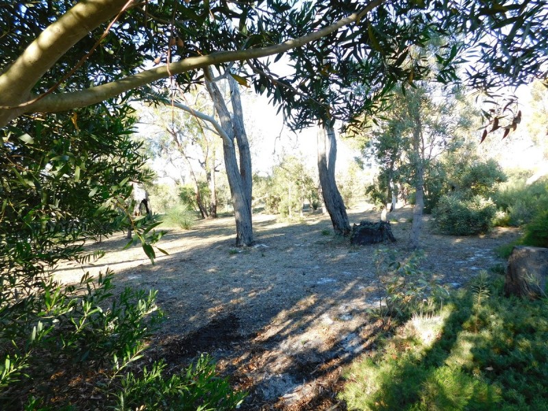 131 Old Dairy Court, Oakford WA 6121