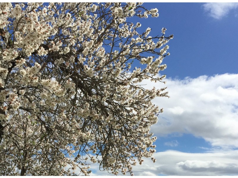 16a Holmesdale Road, Woodbridge WA 6056