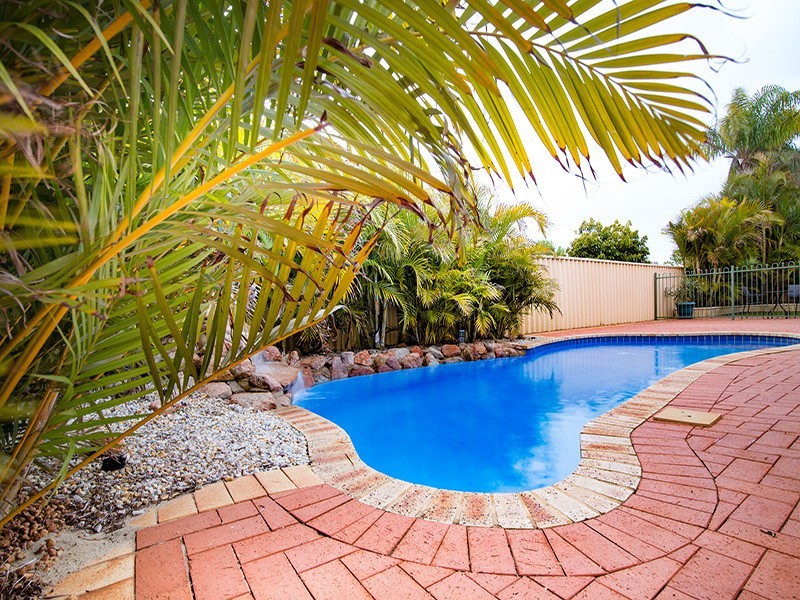 24 Burtonia Place, Canning Vale WA 6155