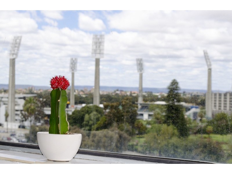 64/60 Forrest Avenue, East Perth WA 6004