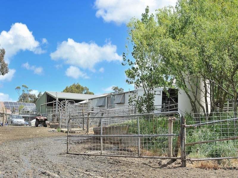 1081 Lang Lang – Poowong Road, Poowong VIC 3988