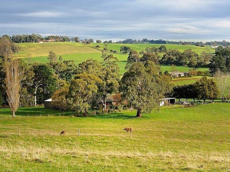 2485 Westernport Road, Ripplebrook VIC 3818