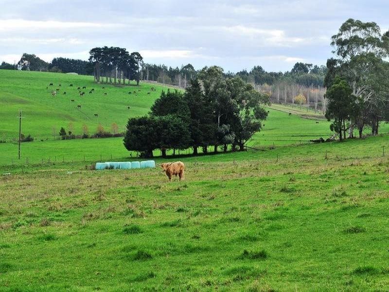 2485 Westernport Road, Ripplebrook VIC 3818