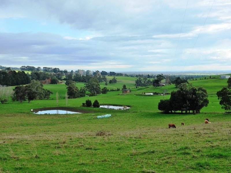 2485 Westernport Road, Ripplebrook VIC 3818