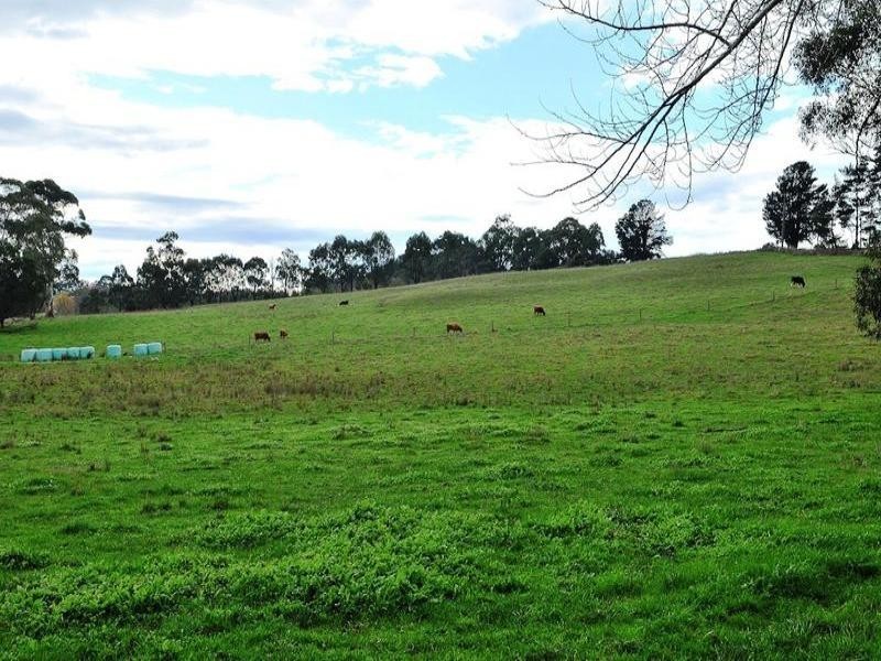 2485 Westernport Road, Ripplebrook VIC 3818