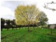 2485 Westernport Road, Ripplebrook VIC 3818