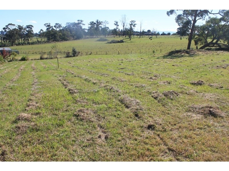 12 Patison Court, Drouin VIC 3818